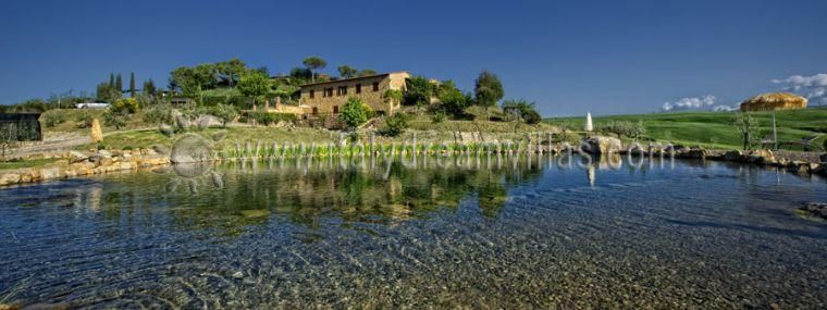 Il Vecchio Podere di Pienza -Corbezzolo